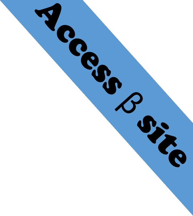 Access beta site